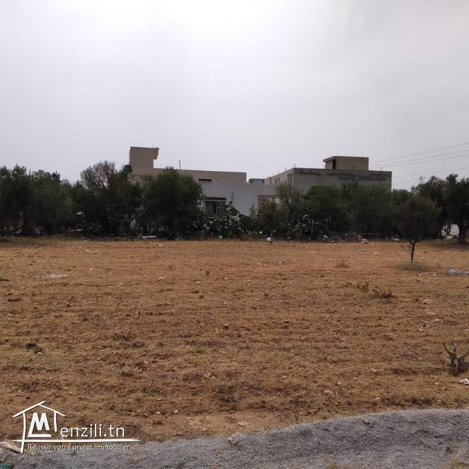 terrain à vendre 20.255.535