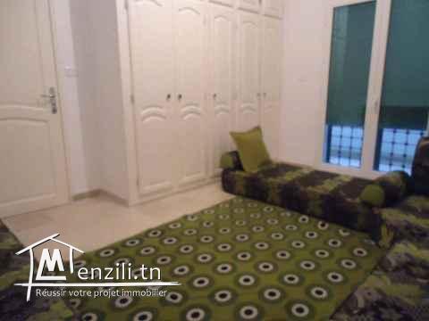 2 maisons et 3 garages a erriadh