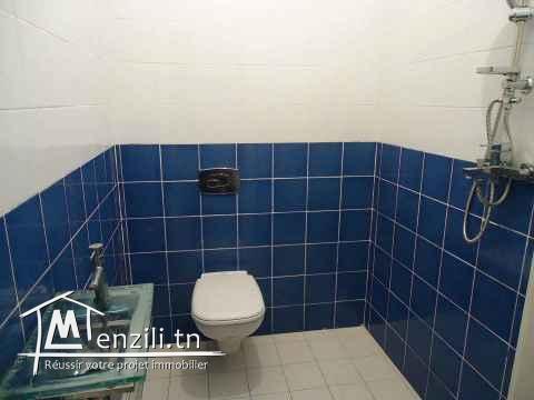 2 maisons et 3 garages a erriadh