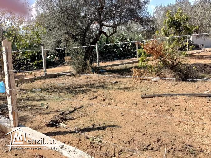 terrain à vendre 20.255.535