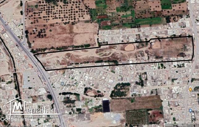 Terrain à vendre à Tébourba Manouba