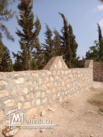 Terrain agricole est sur la route principale