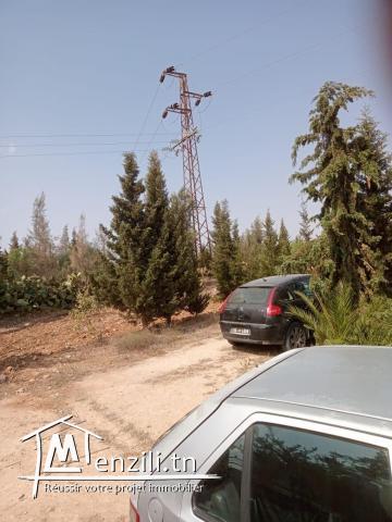 Terrain agricole est sur la route principale