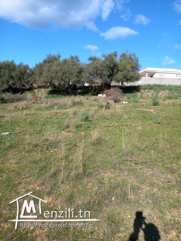 Terrain madame sache