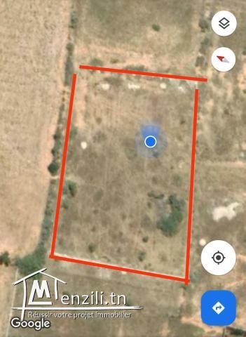 Terrain à vendre à Mahdia tel :24551254