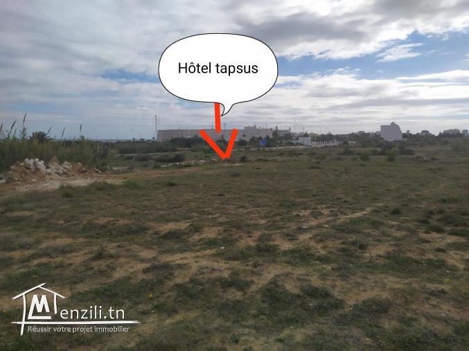 Terrain à vendre à Mahdia tel :24551254