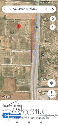 Terrain à vendre à Mahdia tel :24551254