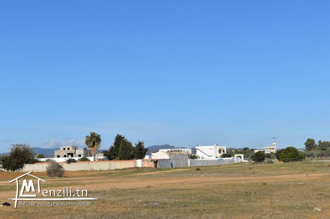 terrain à vendre 20.255.535