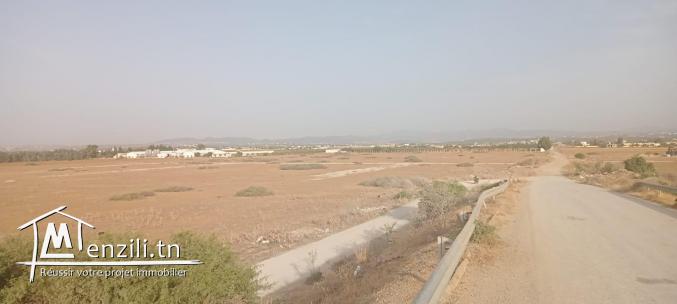 un terrain situe 1 km de yasmine hammamet