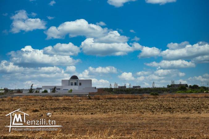 terrain à vendre 20.255.535