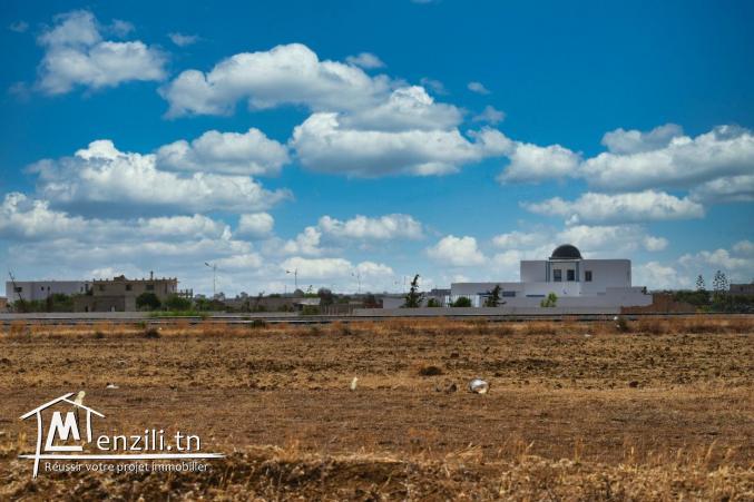 terrain à vendre 20.255.535