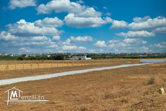 terrain à vendre 20.255.535