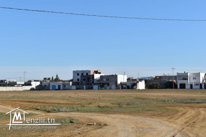 terrain à vendre 20.255.535