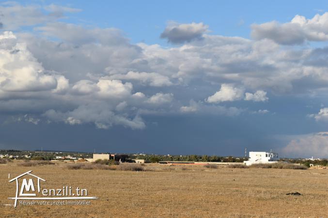 terrain à vendre 20.255.535