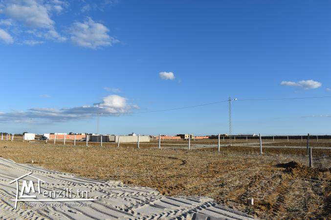 terrain à vendre 20.255.535