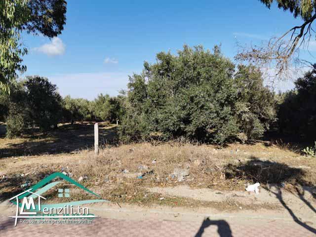 VT684:Terrain commercial 13500 m² à kelibia