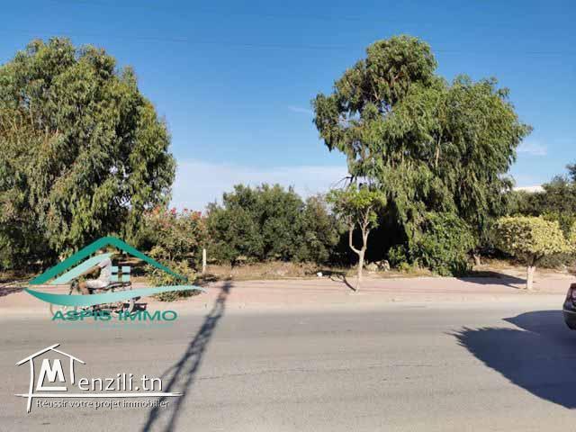 VT684:Terrain commercial 13500 m² à kelibia