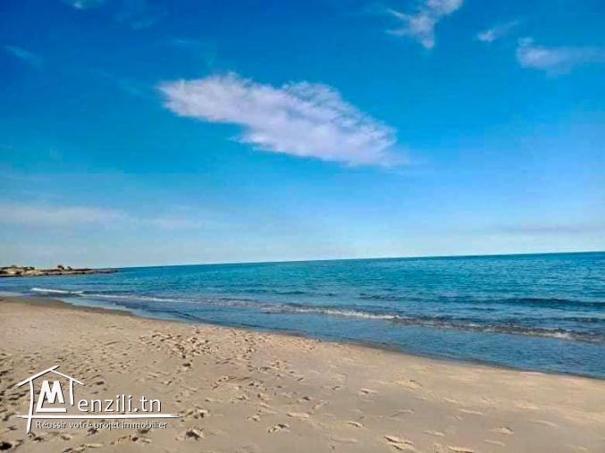 خووذ فرصتك*ارض بلاش*سوم هبال تبني بالهناء