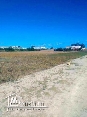 خووذ فرصتك*ارض بلاش*سوم هبال تبني بالهناء