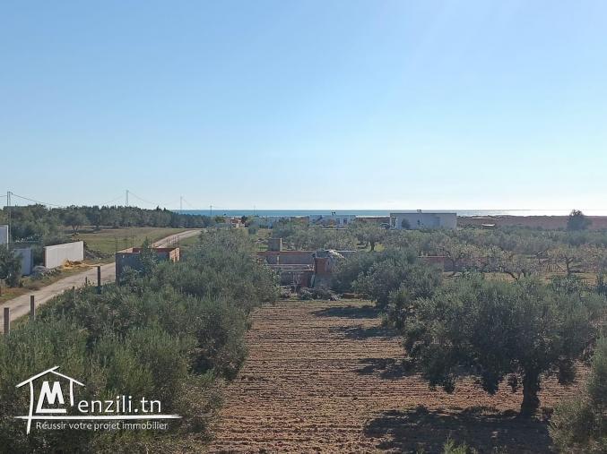 terrain à vendre 20.255.535