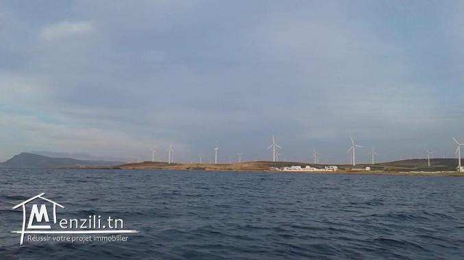 Terrain a vendre ,prix exceptionnel