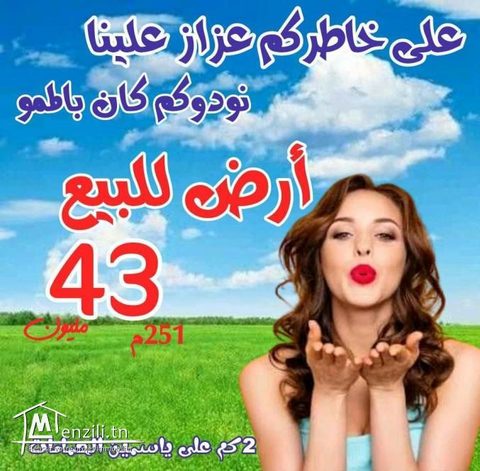 terrain a yassmine Hammamet 29.105.189