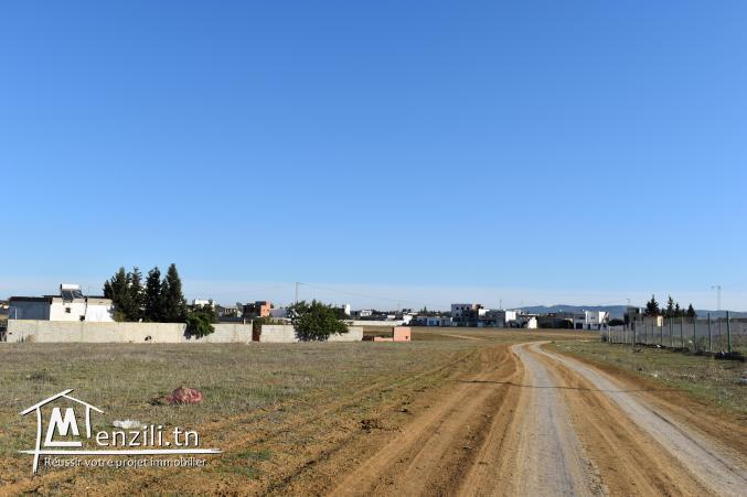 terrain a yassmine Hammamet 29.105.189