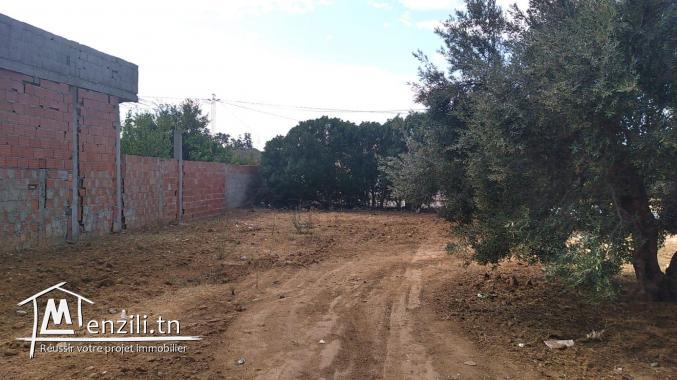 A vendre un  terrain à besbasiya