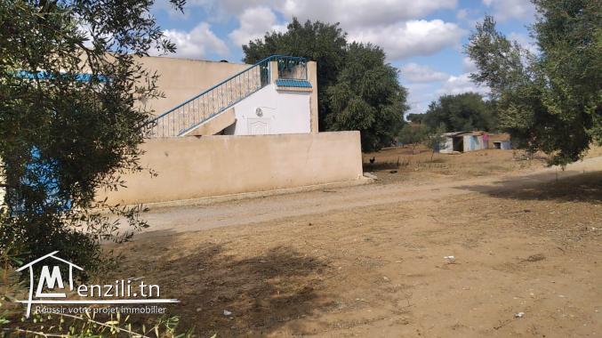 A vendre un  terrain à besbasiya