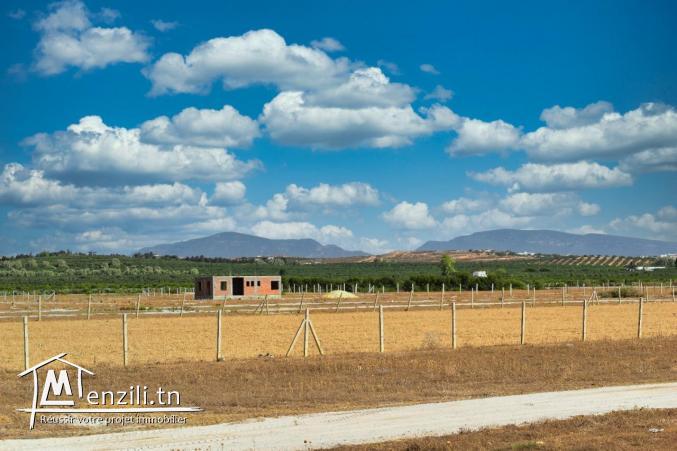 terrain à vendre 20.255.535