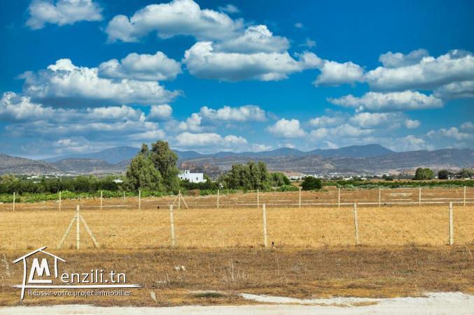 terrain à vendre 20.255.535