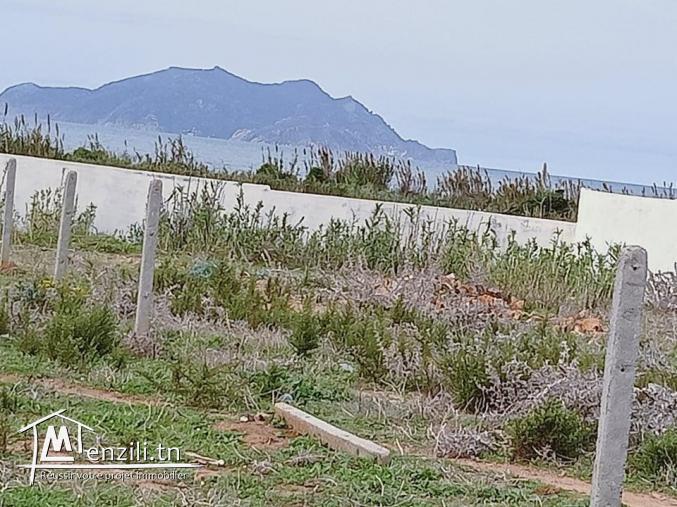terrain à plage elhaouaria