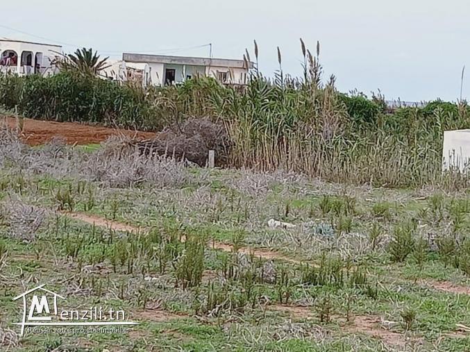 terrain à plage elhaouaria