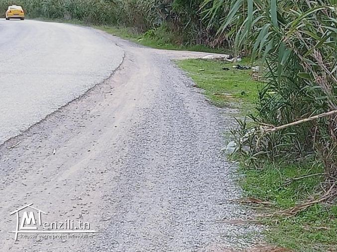 terrain à plage elhaouaria