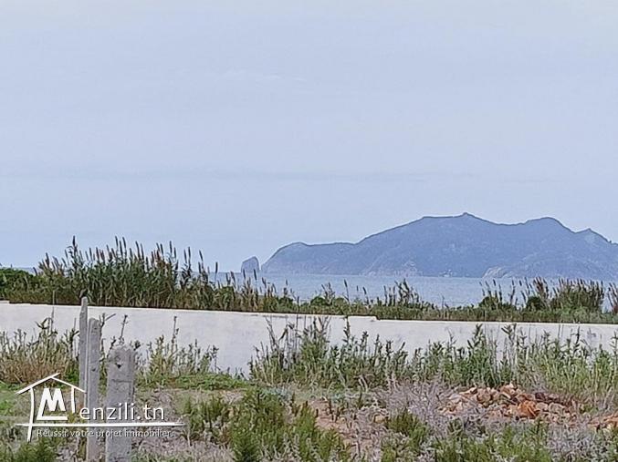 terrain à plage elhaouaria