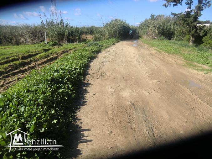 1 hectar a vendre a dar allouch