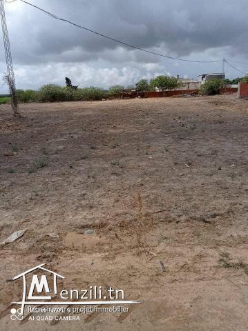 1000m² situé a el hawariya titre bleu