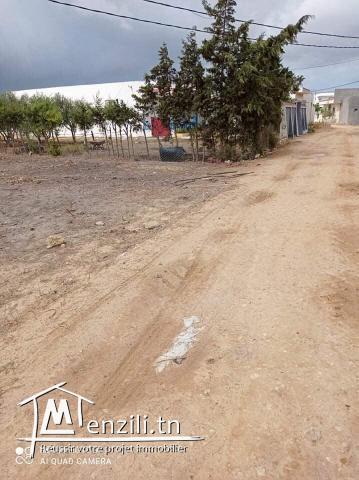 1000m² situé a el hawariya titre bleu