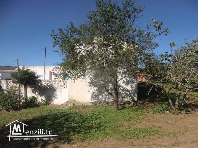 maison arabe a vendre titre bleu individuelle