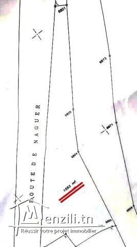 #Terrain #1683² #Sur La Route De Nageur #Kalaa Essghira