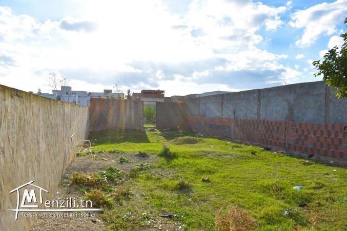 terrain à vendre 20.255.535