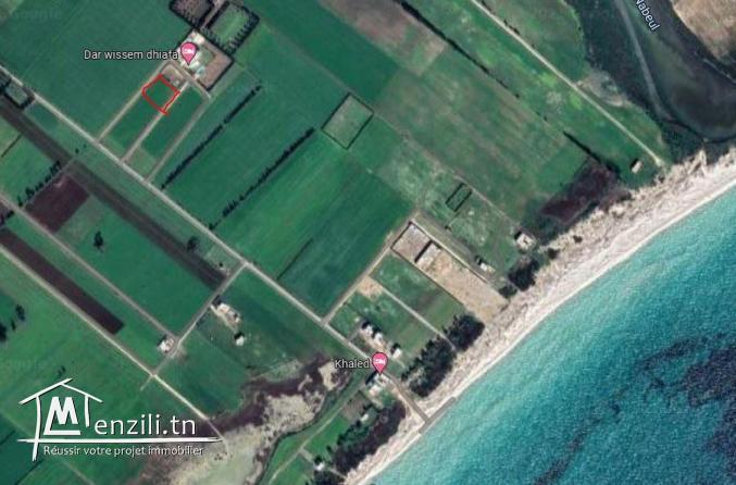 Promo : terrain à 5km de Kelibia et près de la mer