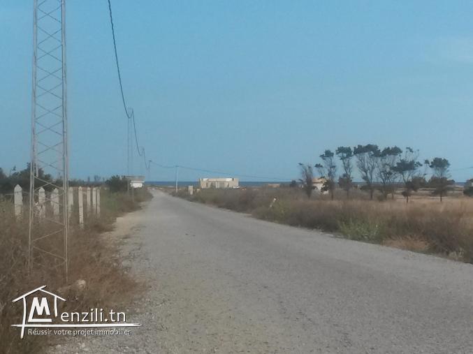 Promo : terrain à 5km de Kelibia et près de la mer