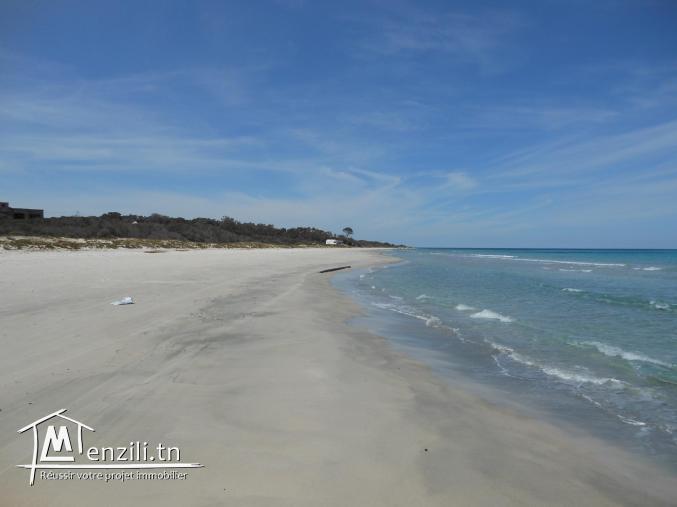 Lot de terrain  situé dans un endroit paisible
