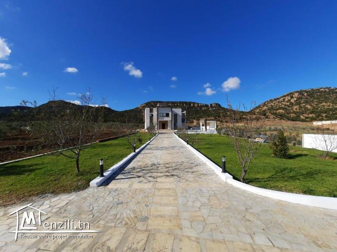 Une belle villa sur 6000m² de haut standing à compagne Hammamet.