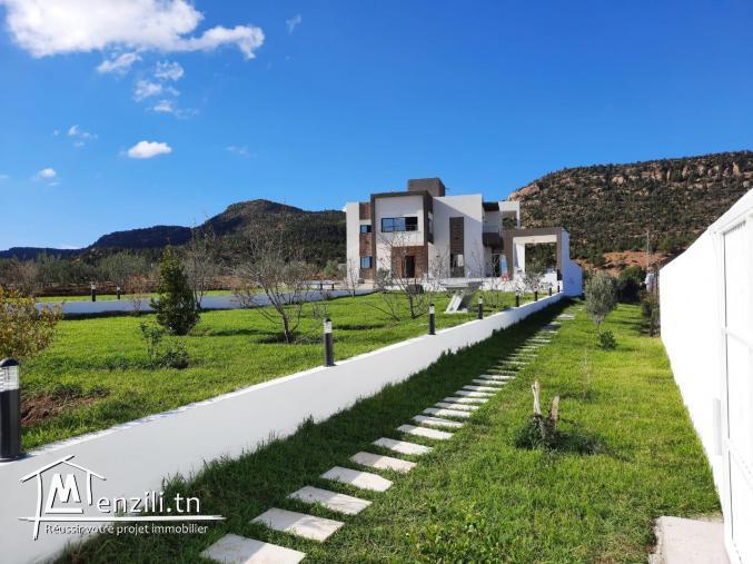 Une belle villa sur 6000m² de haut standing à compagne Hammamet.