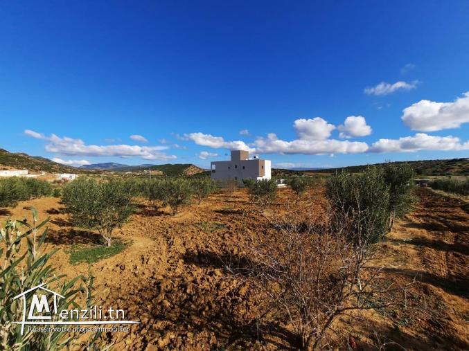 Une belle villa sur 6000m² de haut standing à compagne Hammamet.