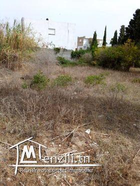 joli terrain a corniche