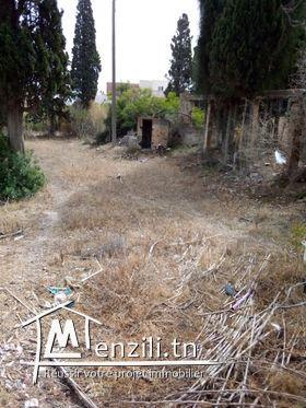 joli terrain a corniche