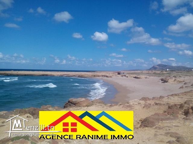 Villa a la mer d'el haouaria cap bon